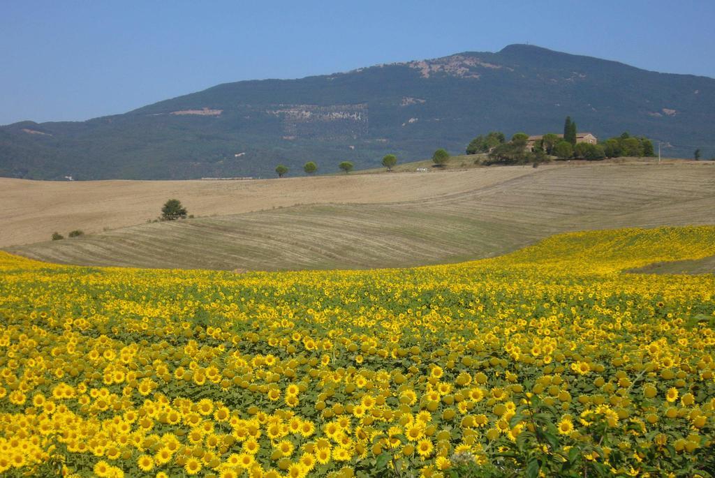 B&B Giuseppe Chiusi Exterior photo